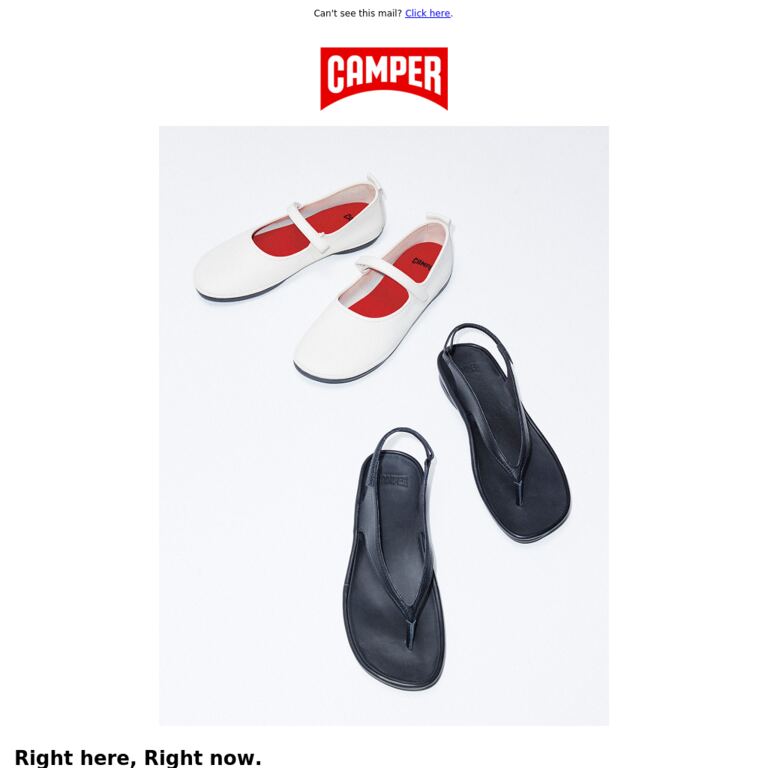 Introducing: The Right Family - newsletter screenshot