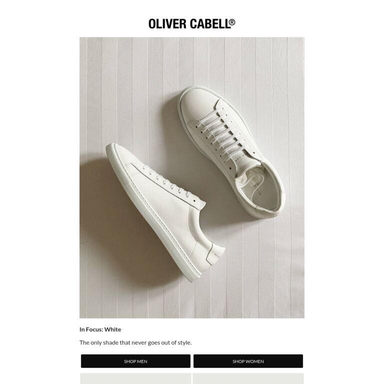 In Focus: White - newsletter screenshot