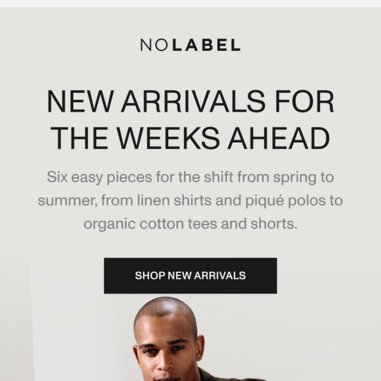 New arrivals for the weeks ahead - newsletter screenshot