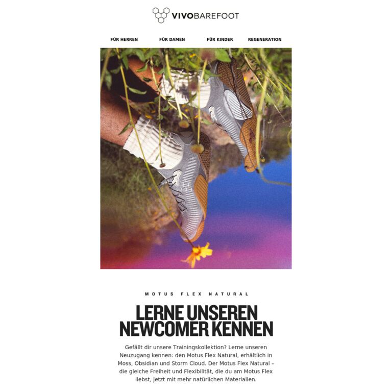 Lerne unseren newcomer kennen - newsletter screenshot