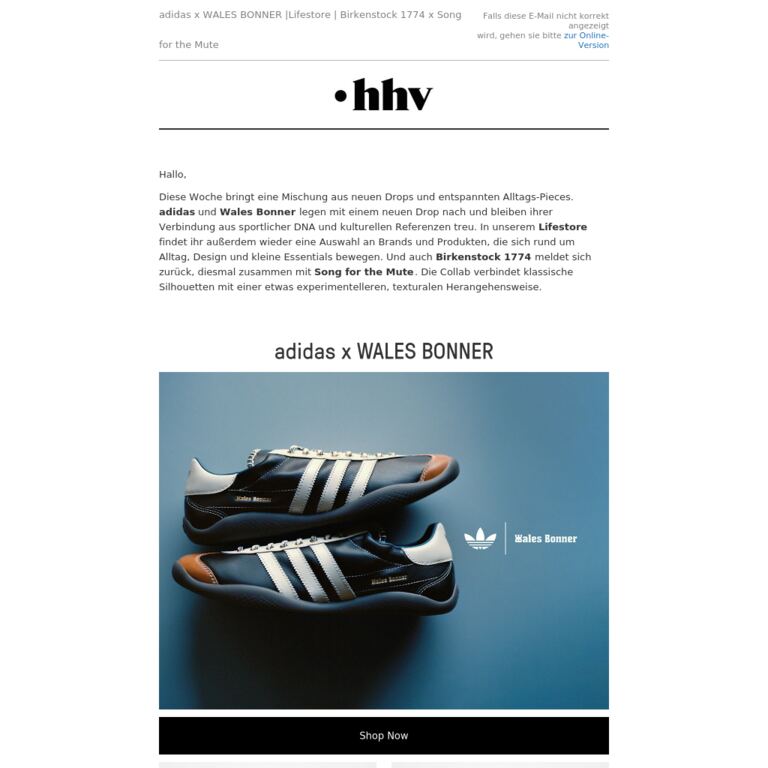 adidas x WALES BONNER |Lifestore | Birkenstock 1774 x Song for the Mute - newsletter screenshot