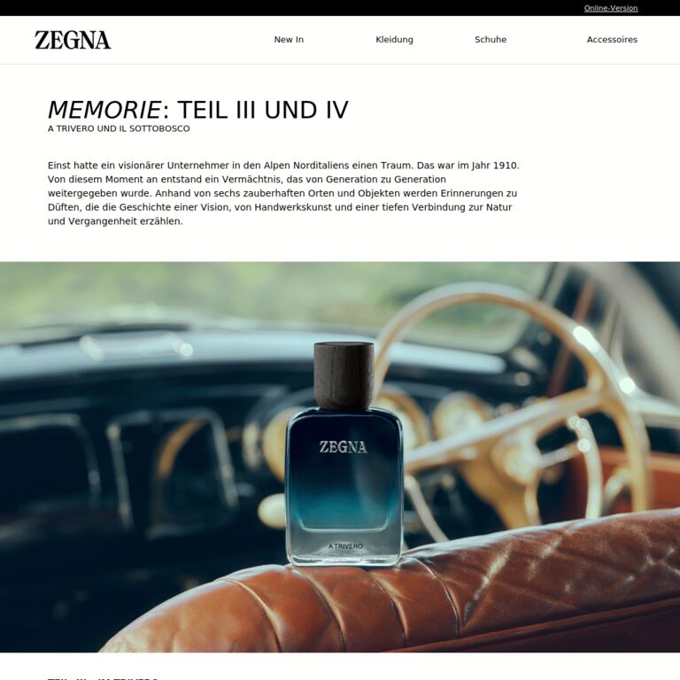 Memorie: Teil III und IV - newsletter screenshot