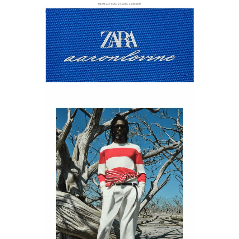 AARON LEVINE x ZARA - newsletter screenshot