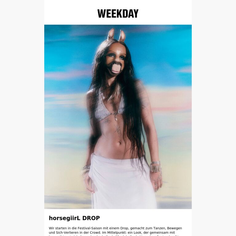 horsegiirL Collab ist da - newsletter screenshot