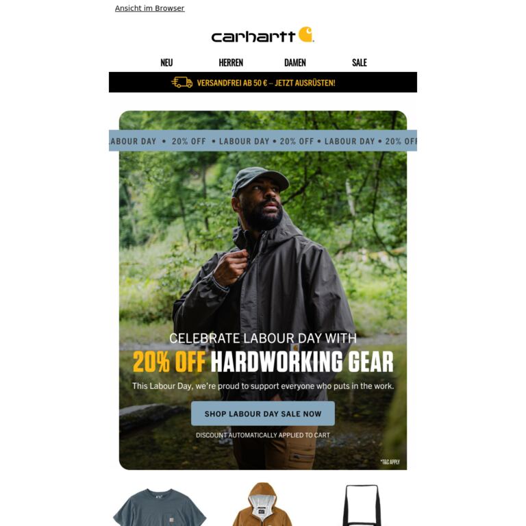 Last Chance: 20% Off - newsletter screenshot