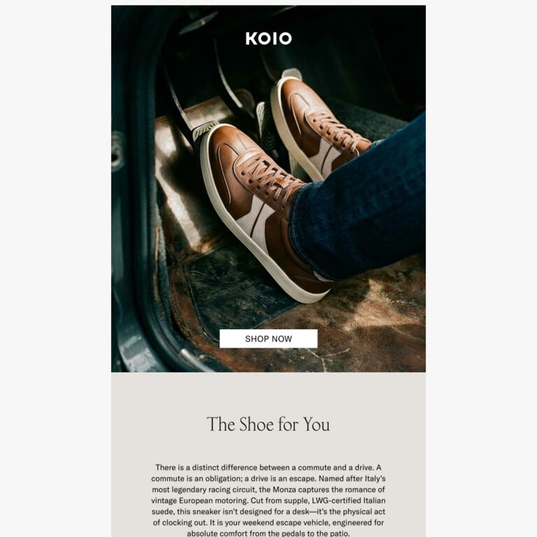 The Color of Leisure - newsletter screenshot