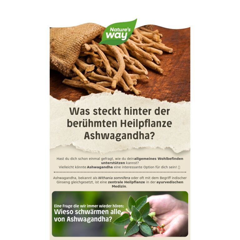 Die Geheimnisse der Heilpflanze Ashwagandha🌱 - newsletter screenshot