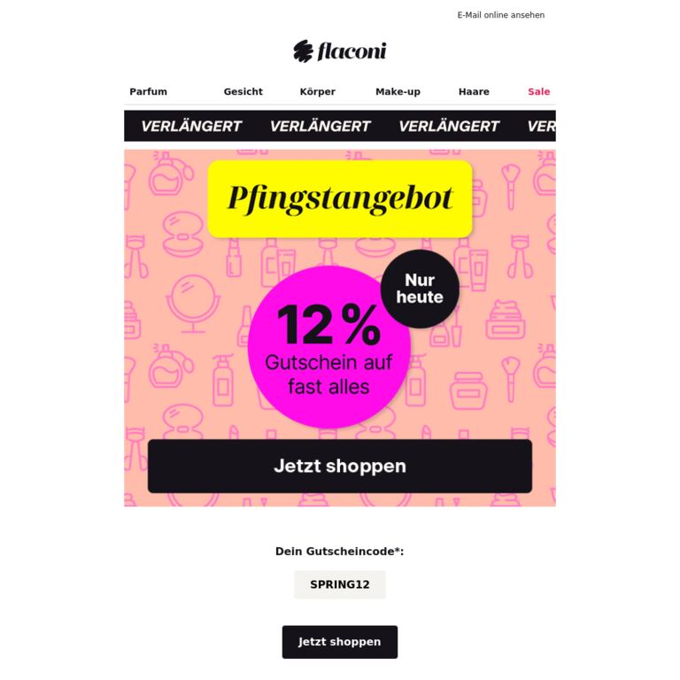 Dein 12 %-Gutschein I LETZTE CHANCE - newsletter screenshot