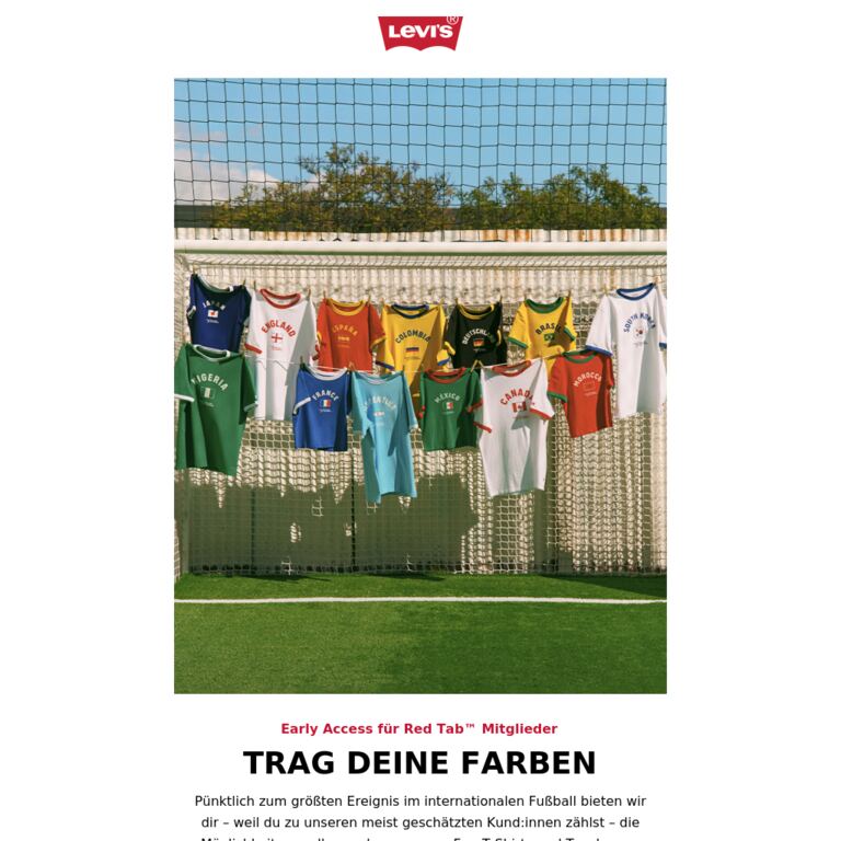 Entdecke unsere Ringer-T-Shirts und Shopper in limitierter Auflage - newsletter screenshot