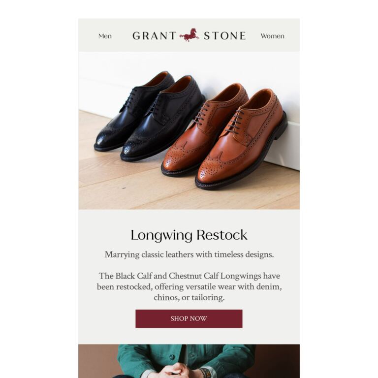 Longwing Restocked. - newsletter screenshot