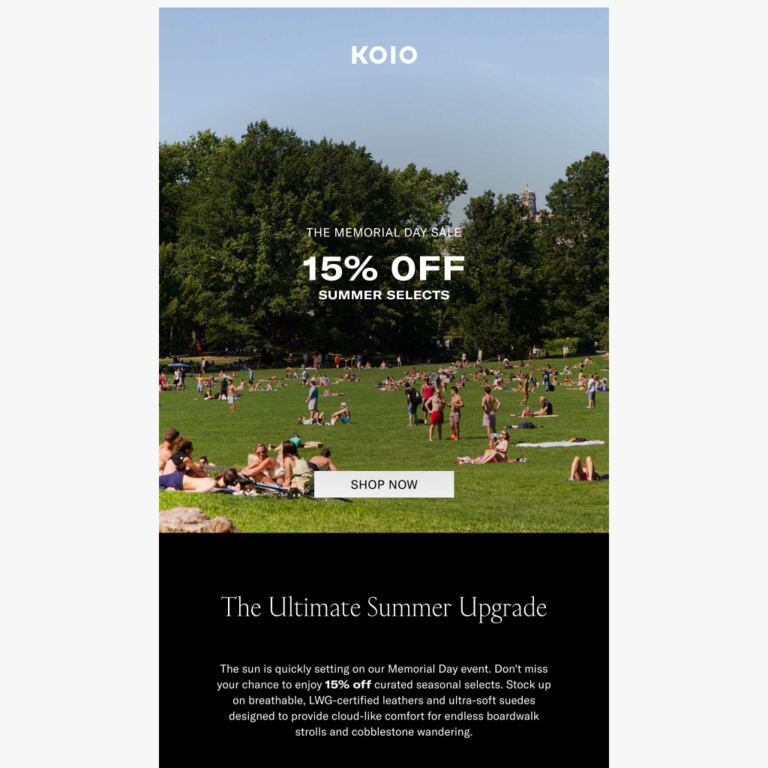Just In Time For Summer: 15% Off - newsletter screenshot