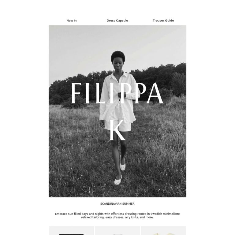 Scandinavian Summer - newsletter screenshot