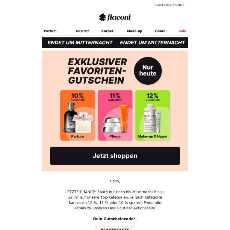 LETZTE CHANCE auf 12 % Rabatt 🔥 - newsletter screenshot