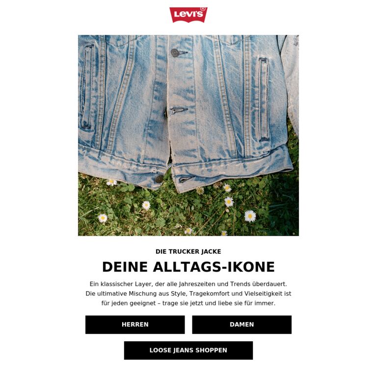Die Jacke, die du für immer tragen wirst - newsletter screenshot