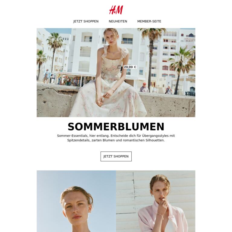 Sommerblumen - newsletter screenshot