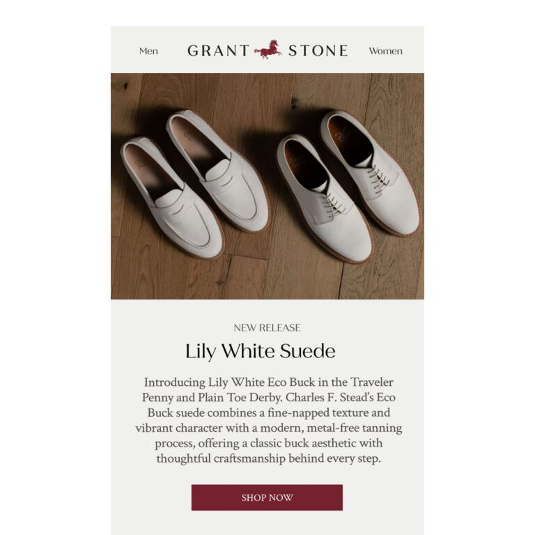 Introducing Lily White Suede - newsletter screenshot