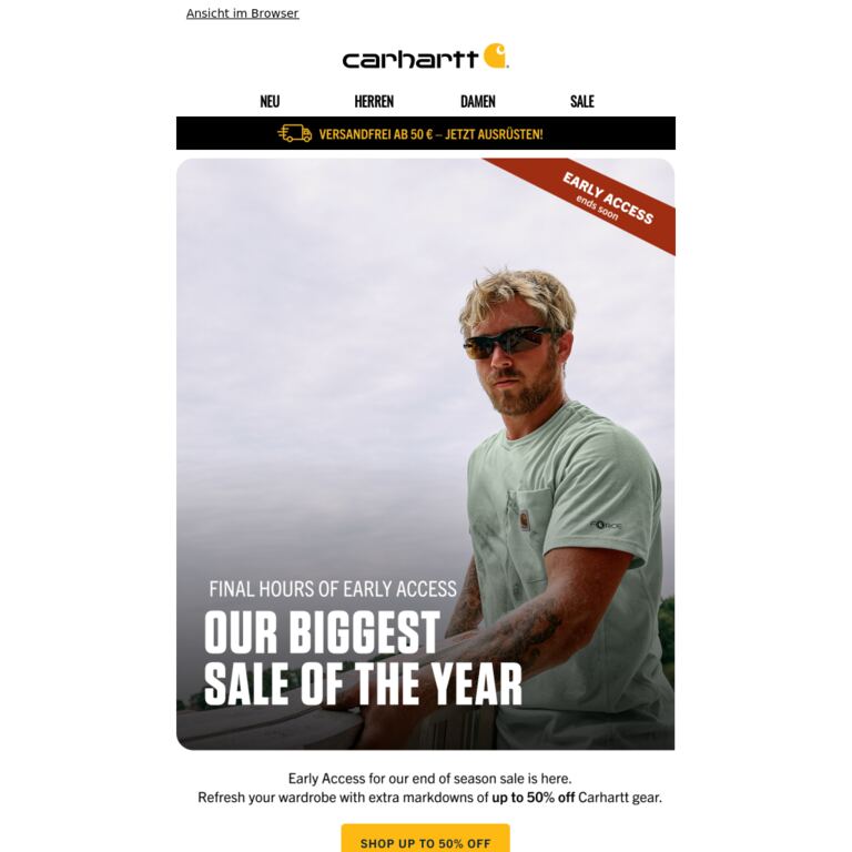 Last Chance for Early Access Summer Sale - newsletter screenshot
