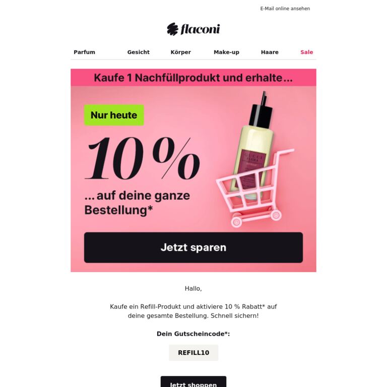 Nur heute: 10 % auf alles sichern - newsletter screenshot