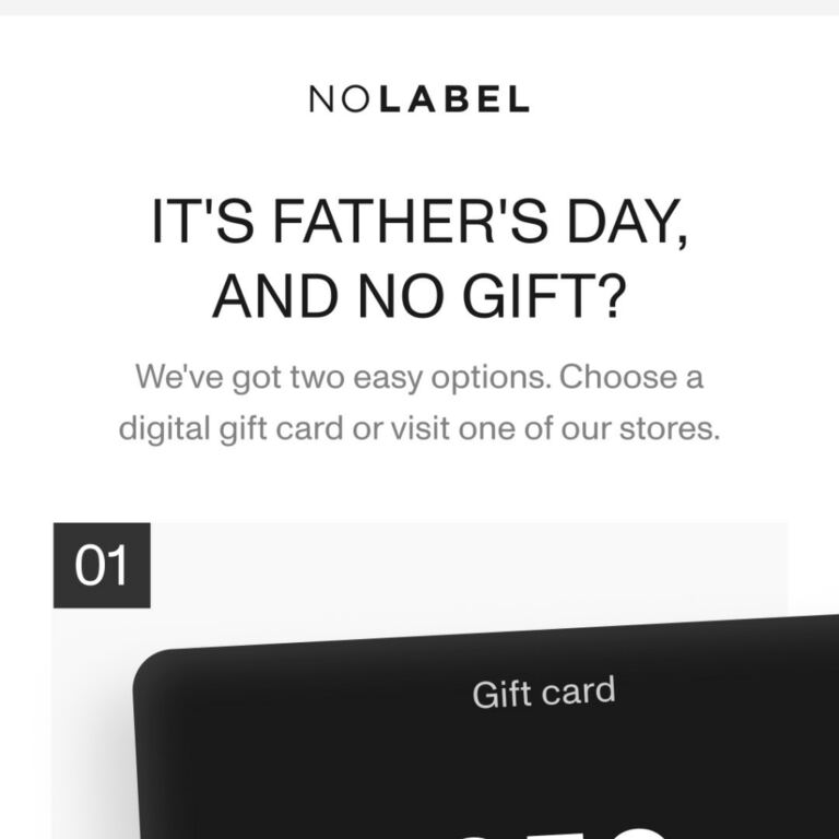 Still need a Father's Day gift? - newsletter screenshot