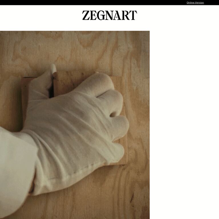 Wir stellen Ihnen ZEGNART vor - newsletter screenshot