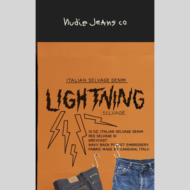 NEWSFLASH - newsletter screenshot
