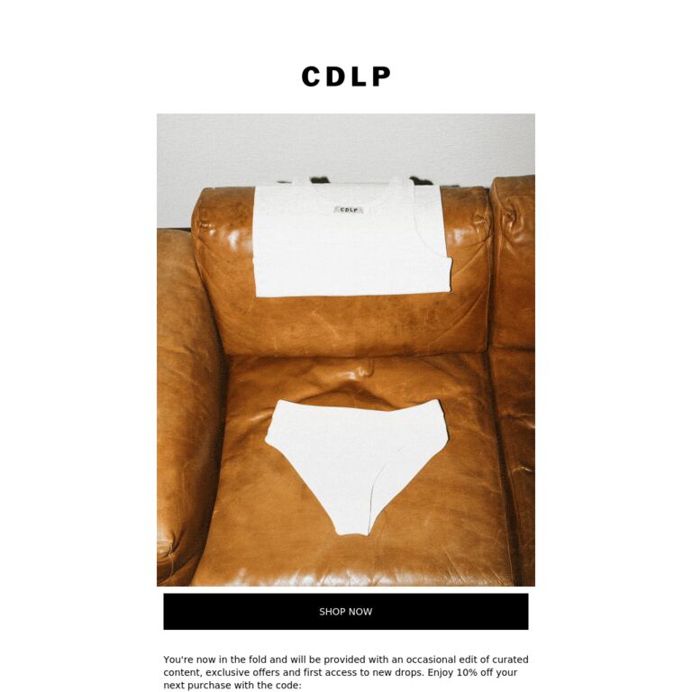 Welcome to CDLP - newsletter screenshot
