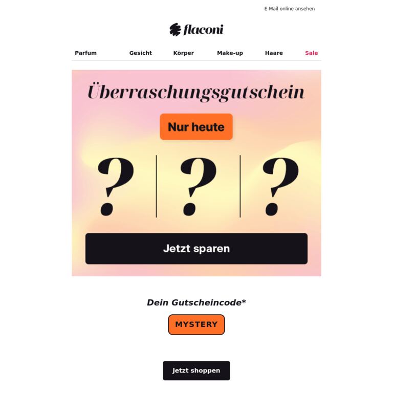 Geheimer Shopping-Gutschein 🔍 - newsletter screenshot