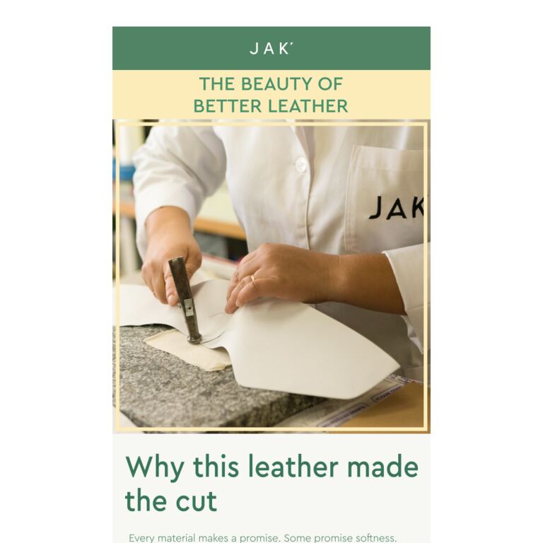 Why We Chose This Leather - newsletter screenshot