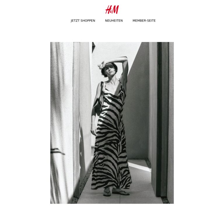 Neu: City-Chic - newsletter screenshot