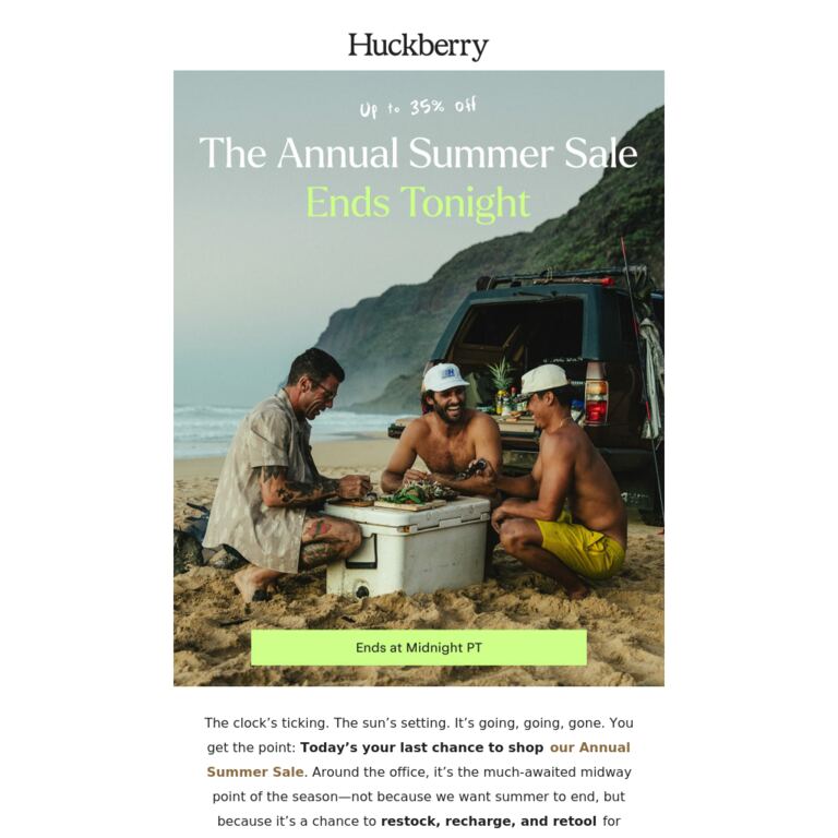 It’s Now or Never (or at Least Next Year) - newsletter screenshot