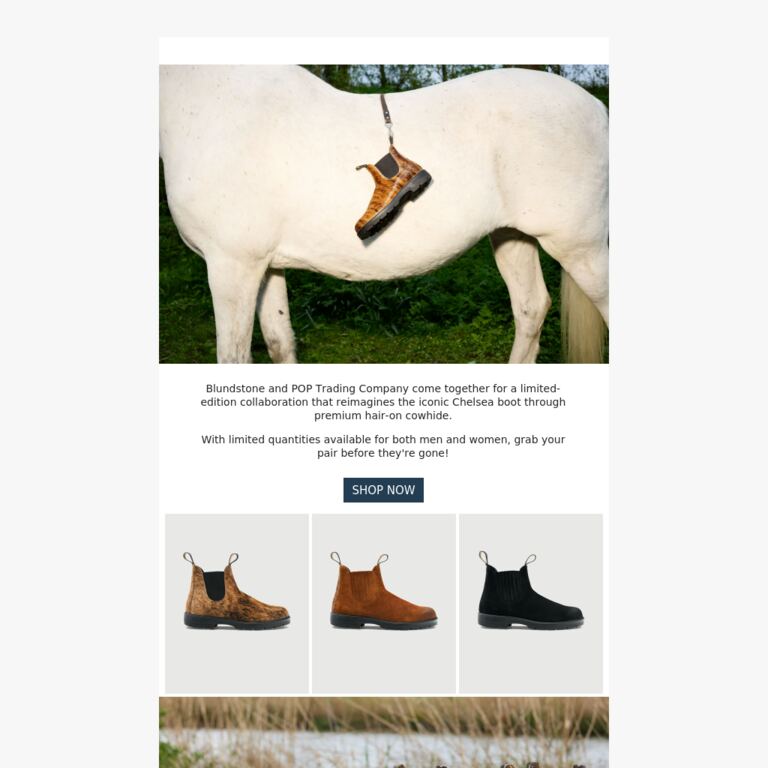 Blundstone x POP Trading Company collaboration - newsletter screenshot