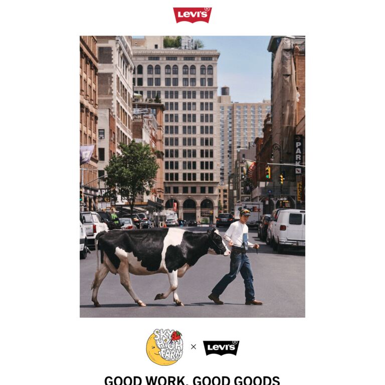 Levi's® x Sky High Farm Goods - newsletter screenshot