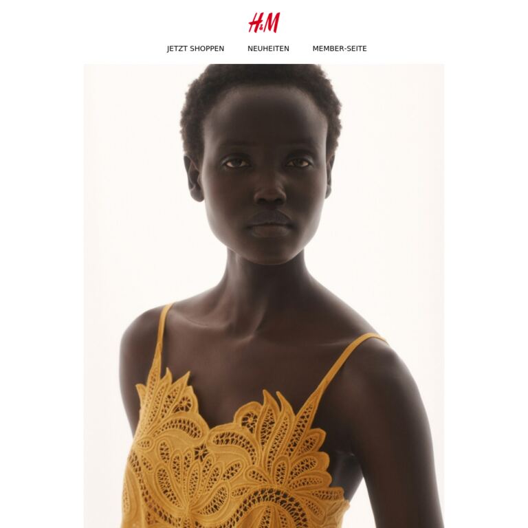 Goldener Sommer - newsletter screenshot
