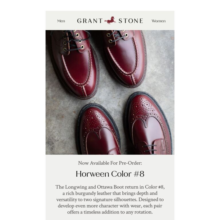 Color #8 Chromexcel Pre-Order - newsletter screenshot