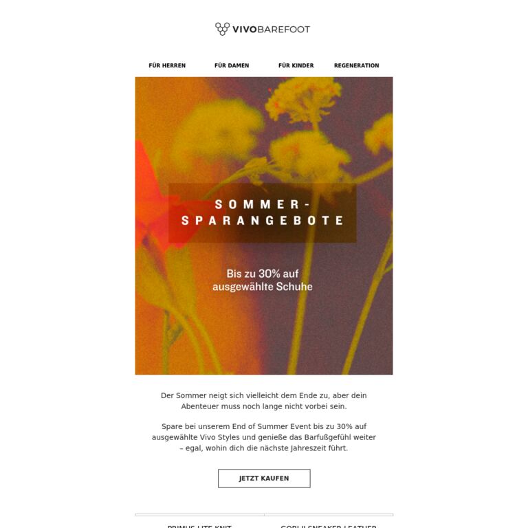 Bis zu 30% Rabatt - newsletter screenshot