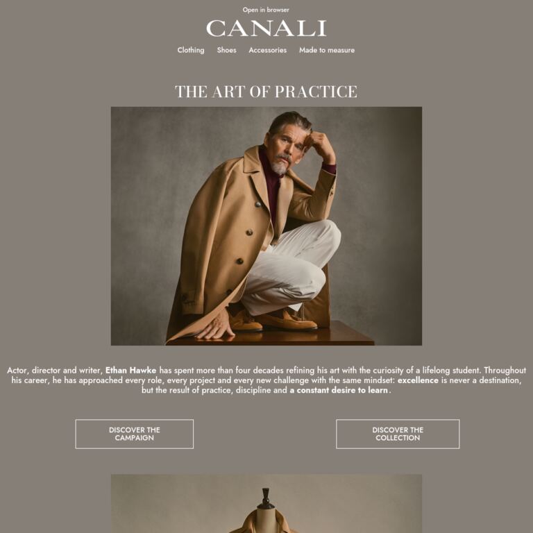 Ethan Hawke and The Art of Practice - newsletter screenshot