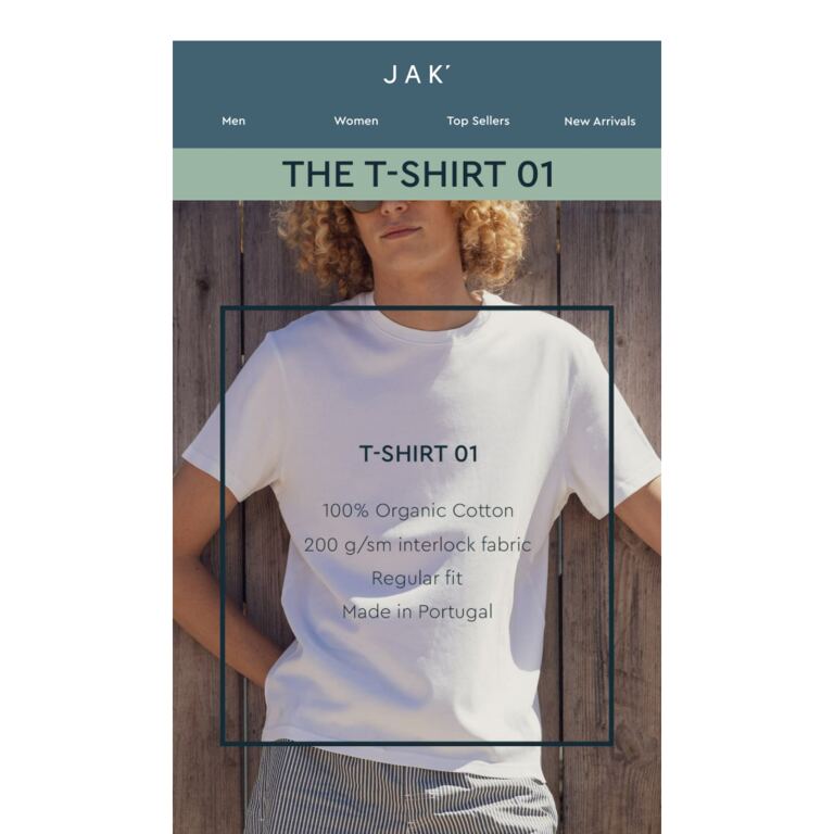 The everyday t-shirt. - newsletter screenshot