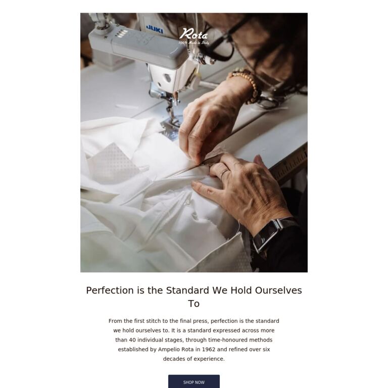 Perfection is the Standard We Hold Ourselves To - newsletter screenshot