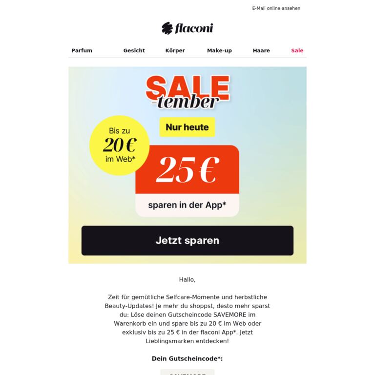 Bis zu 25 € Gutschein für deinen Herbst 🍁 - newsletter screenshot