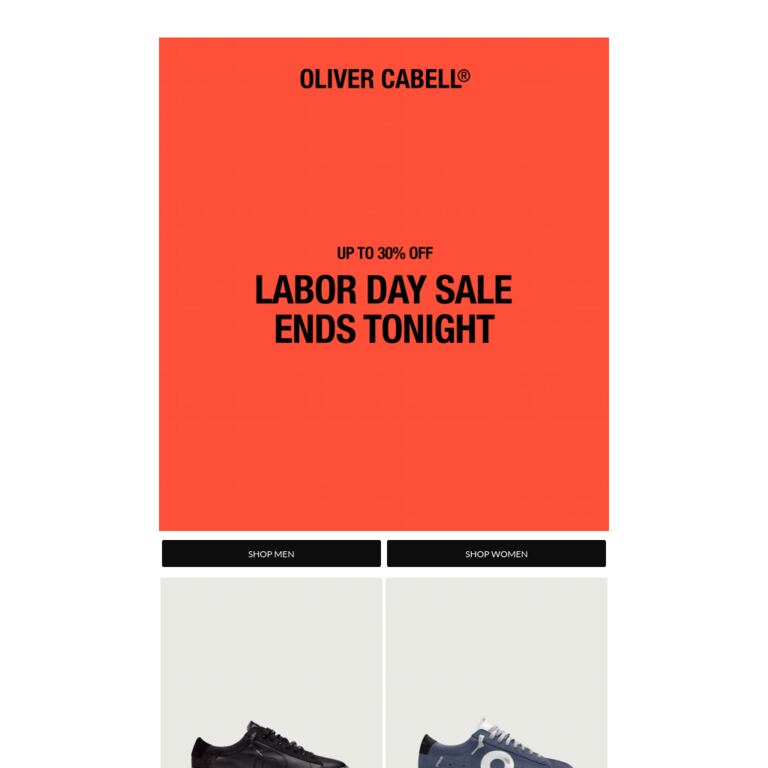 Labor Day Sale Ends Tonight - newsletter screenshot