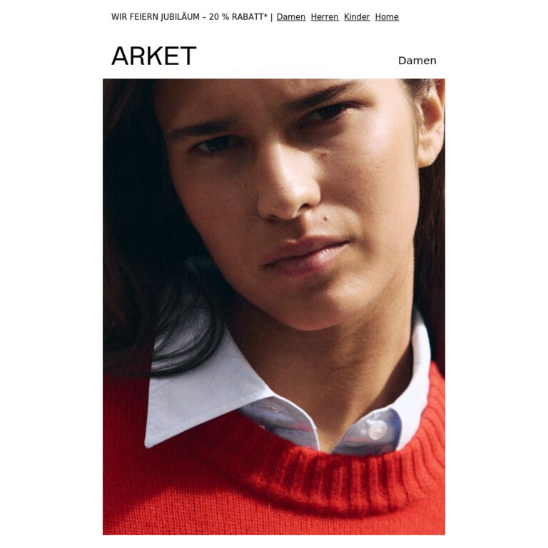 Der Pullover aus reinem Kaschmir - newsletter screenshot