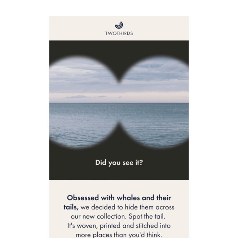 The whale tail is hiding in our new collection. - newsletter screenshot