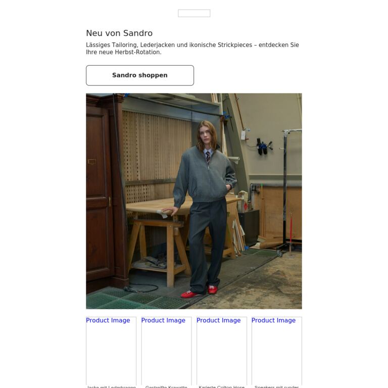 HW26 bei Sandro - newsletter screenshot