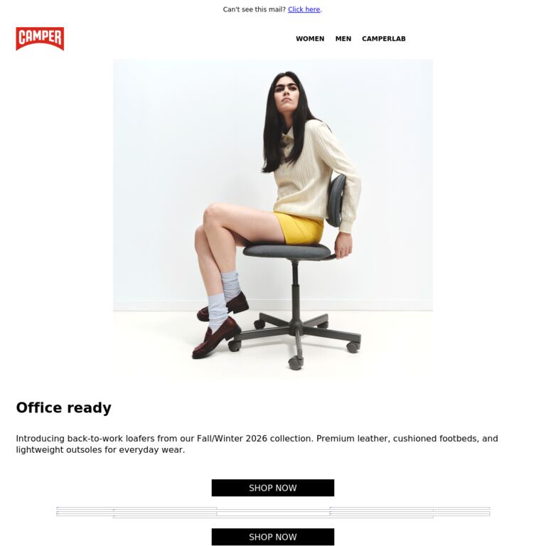 Back to Work Loafers - newsletter screenshot