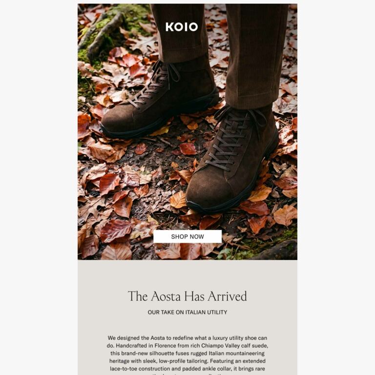 Just Launched: The Aosta Hybrid Boot - newsletter screenshot