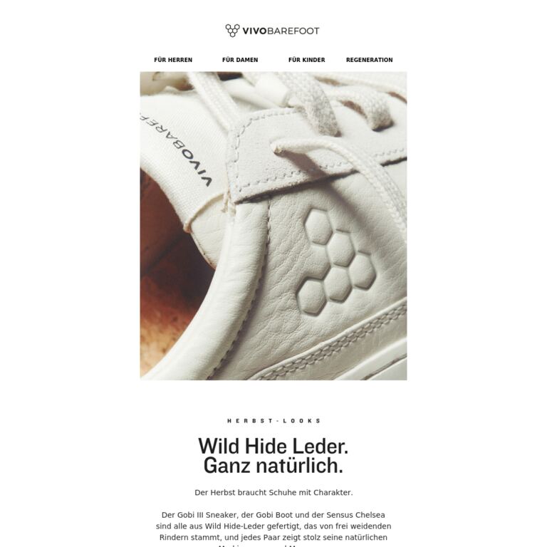 Leder ist fürs Leben gemacht - newsletter screenshot