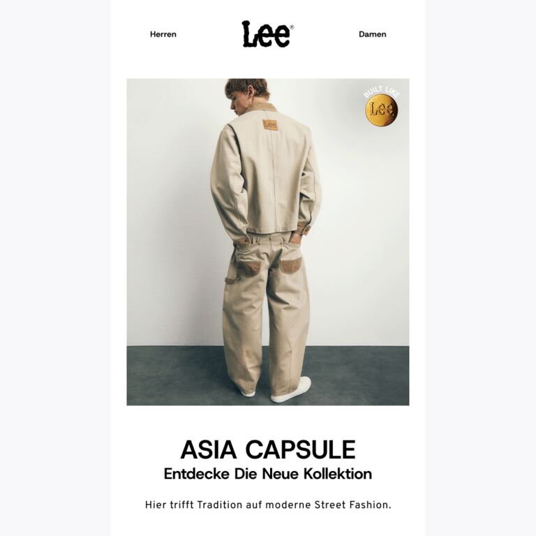 ASIA CAPSULE | Entdecke die neue Kollektion - newsletter screenshot