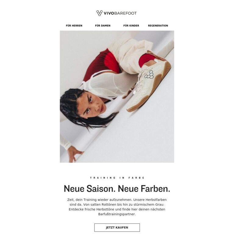 Training in Farbe - newsletter screenshot
