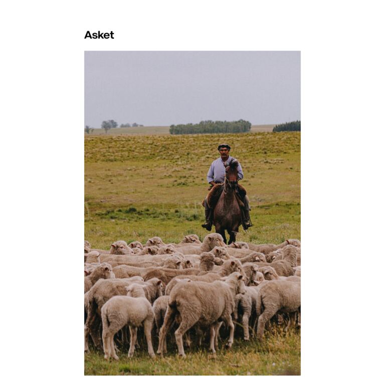 Regenerative Merino Knitwear - newsletter screenshot