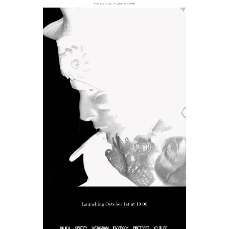 Re{form} Zara - newsletter screenshot
